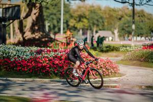 BIB: 
                            <button type="button" onclick="openModal(26155502)" class="btn btn-primary btn-sm float-right btn-popup" data-toggle="modal" data-target=".modal-high-quality">
                        <i class="fas fa-shopping-cart"></i> Add to Cart
                    </button>
                                            <button type="button" onclick="isThisMe(26155502, true)" class="btn btn-success btn-sm float-right btn-popup btn-isme hidden" data-toggle="tooltip" data-placement="bottom" title="นี่คือรูปของคุณใช่ไหม คลิกที่นี่เพื่อเอาเข้าอัลบั้ม">
                        <i class="fas fa-plus"></i> Add to album
                    </button>
                    <button type="button" onclick="isThisMe(26155502, false)" class="btn btn-warning btn-sm float-right btn-popup btn-isnotme hidden">
                        <i class="fas fa-ban"></i> Remove from album
                    </button>