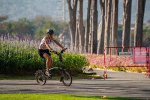 BIB: 
                            <button type="button" onclick="openModal(26160578)" class="btn btn-primary btn-sm float-right btn-popup" data-toggle="modal" data-target=".modal-high-quality">
                        <i class="fas fa-shopping-cart"></i> Add to Cart
                    </button>
                                            <button type="button" onclick="isThisMe(26160578, true)" class="btn btn-success btn-sm float-right btn-popup btn-isme hidden" data-toggle="tooltip" data-placement="bottom" title="นี่คือรูปของคุณใช่ไหม คลิกที่นี่เพื่อเอาเข้าอัลบั้ม">
                        <i class="fas fa-plus"></i> Add to album
                    </button>
                    <button type="button" onclick="isThisMe(26160578, false)" class="btn btn-warning btn-sm float-right btn-popup btn-isnotme hidden">
                        <i class="fas fa-ban"></i> Remove from album
                    </button>