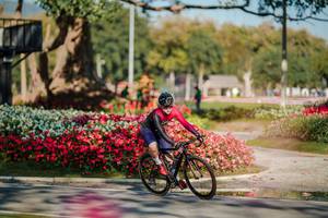 BIB: 
                            <button type="button" onclick="openModal(26155491)" class="btn btn-primary btn-sm float-right btn-popup" data-toggle="modal" data-target=".modal-high-quality">
                        <i class="fas fa-shopping-cart"></i> Add to Cart
                    </button>
                                            <button type="button" onclick="isThisMe(26155491, true)" class="btn btn-success btn-sm float-right btn-popup btn-isme hidden" data-toggle="tooltip" data-placement="bottom" title="นี่คือรูปของคุณใช่ไหม คลิกที่นี่เพื่อเอาเข้าอัลบั้ม">
                        <i class="fas fa-plus"></i> Add to album
                    </button>
                    <button type="button" onclick="isThisMe(26155491, false)" class="btn btn-warning btn-sm float-right btn-popup btn-isnotme hidden">
                        <i class="fas fa-ban"></i> Remove from album
                    </button>