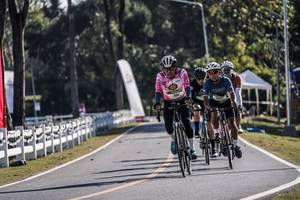 BIB: 
                            <button type="button" onclick="openModal(26156735)" class="btn btn-primary btn-sm float-right btn-popup" data-toggle="modal" data-target=".modal-high-quality">
                        <i class="fas fa-shopping-cart"></i> Add to Cart
                    </button>
                                            <button type="button" onclick="isThisMe(26156735, true)" class="btn btn-success btn-sm float-right btn-popup btn-isme hidden" data-toggle="tooltip" data-placement="bottom" title="นี่คือรูปของคุณใช่ไหม คลิกที่นี่เพื่อเอาเข้าอัลบั้ม">
                        <i class="fas fa-plus"></i> Add to album
                    </button>
                    <button type="button" onclick="isThisMe(26156735, false)" class="btn btn-warning btn-sm float-right btn-popup btn-isnotme hidden">
                        <i class="fas fa-ban"></i> Remove from album
                    </button>