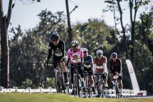 BIB: 
                            <button type="button" onclick="openModal(26157444)" class="btn btn-primary btn-sm float-right btn-popup" data-toggle="modal" data-target=".modal-high-quality">
                        <i class="fas fa-shopping-cart"></i> Add to Cart
                    </button>
                                            <button type="button" onclick="isThisMe(26157444, true)" class="btn btn-success btn-sm float-right btn-popup btn-isme hidden" data-toggle="tooltip" data-placement="bottom" title="นี่คือรูปของคุณใช่ไหม คลิกที่นี่เพื่อเอาเข้าอัลบั้ม">
                        <i class="fas fa-plus"></i> Add to album
                    </button>
                    <button type="button" onclick="isThisMe(26157444, false)" class="btn btn-warning btn-sm float-right btn-popup btn-isnotme hidden">
                        <i class="fas fa-ban"></i> Remove from album
                    </button>