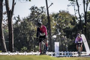 BIB: 
                            <button type="button" onclick="openModal(26157386)" class="btn btn-primary btn-sm float-right btn-popup" data-toggle="modal" data-target=".modal-high-quality">
                        <i class="fas fa-shopping-cart"></i> Add to Cart
                    </button>
                                            <button type="button" onclick="isThisMe(26157386, true)" class="btn btn-success btn-sm float-right btn-popup btn-isme hidden" data-toggle="tooltip" data-placement="bottom" title="นี่คือรูปของคุณใช่ไหม คลิกที่นี่เพื่อเอาเข้าอัลบั้ม">
                        <i class="fas fa-plus"></i> Add to album
                    </button>
                    <button type="button" onclick="isThisMe(26157386, false)" class="btn btn-warning btn-sm float-right btn-popup btn-isnotme hidden">
                        <i class="fas fa-ban"></i> Remove from album
                    </button>