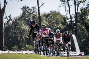 BIB: 
                            <button type="button" onclick="openModal(26157443)" class="btn btn-primary btn-sm float-right btn-popup" data-toggle="modal" data-target=".modal-high-quality">
                        <i class="fas fa-shopping-cart"></i> Add to Cart
                    </button>
                                            <button type="button" onclick="isThisMe(26157443, true)" class="btn btn-success btn-sm float-right btn-popup btn-isme hidden" data-toggle="tooltip" data-placement="bottom" title="นี่คือรูปของคุณใช่ไหม คลิกที่นี่เพื่อเอาเข้าอัลบั้ม">
                        <i class="fas fa-plus"></i> Add to album
                    </button>
                    <button type="button" onclick="isThisMe(26157443, false)" class="btn btn-warning btn-sm float-right btn-popup btn-isnotme hidden">
                        <i class="fas fa-ban"></i> Remove from album
                    </button>