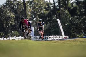 BIB: 
                            <button type="button" onclick="openModal(26156786)" class="btn btn-primary btn-sm float-right btn-popup" data-toggle="modal" data-target=".modal-high-quality">
                        <i class="fas fa-shopping-cart"></i> Add to Cart
                    </button>
                                            <button type="button" onclick="isThisMe(26156786, true)" class="btn btn-success btn-sm float-right btn-popup btn-isme hidden" data-toggle="tooltip" data-placement="bottom" title="นี่คือรูปของคุณใช่ไหม คลิกที่นี่เพื่อเอาเข้าอัลบั้ม">
                        <i class="fas fa-plus"></i> Add to album
                    </button>
                    <button type="button" onclick="isThisMe(26156786, false)" class="btn btn-warning btn-sm float-right btn-popup btn-isnotme hidden">
                        <i class="fas fa-ban"></i> Remove from album
                    </button>