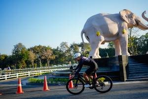 BIB: 
                            <button type="button" onclick="openModal(26163501)" class="btn btn-primary btn-sm float-right btn-popup" data-toggle="modal" data-target=".modal-high-quality">
                        <i class="fas fa-shopping-cart"></i> Add to Cart
                    </button>
                                            <button type="button" onclick="isThisMe(26163501, true)" class="btn btn-success btn-sm float-right btn-popup btn-isme hidden" data-toggle="tooltip" data-placement="bottom" title="นี่คือรูปของคุณใช่ไหม คลิกที่นี่เพื่อเอาเข้าอัลบั้ม">
                        <i class="fas fa-plus"></i> Add to album
                    </button>
                    <button type="button" onclick="isThisMe(26163501, false)" class="btn btn-warning btn-sm float-right btn-popup btn-isnotme hidden">
                        <i class="fas fa-ban"></i> Remove from album
                    </button>