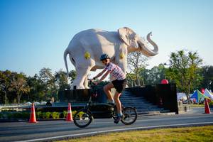 BIB: 
                            <button type="button" onclick="openModal(26163421)" class="btn btn-primary btn-sm float-right btn-popup" data-toggle="modal" data-target=".modal-high-quality">
                        <i class="fas fa-shopping-cart"></i> Add to Cart
                    </button>
                                            <button type="button" onclick="isThisMe(26163421, true)" class="btn btn-success btn-sm float-right btn-popup btn-isme hidden" data-toggle="tooltip" data-placement="bottom" title="นี่คือรูปของคุณใช่ไหม คลิกที่นี่เพื่อเอาเข้าอัลบั้ม">
                        <i class="fas fa-plus"></i> Add to album
                    </button>
                    <button type="button" onclick="isThisMe(26163421, false)" class="btn btn-warning btn-sm float-right btn-popup btn-isnotme hidden">
                        <i class="fas fa-ban"></i> Remove from album
                    </button>