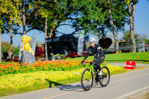 BIB: 
                            <button type="button" onclick="openModal(26168094)" class="btn btn-primary btn-sm float-right btn-popup" data-toggle="modal" data-target=".modal-high-quality">
                        <i class="fas fa-shopping-cart"></i> Add to Cart
                    </button>
                                            <button type="button" onclick="isThisMe(26168094, true)" class="btn btn-success btn-sm float-right btn-popup btn-isme hidden" data-toggle="tooltip" data-placement="bottom" title="นี่คือรูปของคุณใช่ไหม คลิกที่นี่เพื่อเอาเข้าอัลบั้ม">
                        <i class="fas fa-plus"></i> Add to album
                    </button>
                    <button type="button" onclick="isThisMe(26168094, false)" class="btn btn-warning btn-sm float-right btn-popup btn-isnotme hidden">
                        <i class="fas fa-ban"></i> Remove from album
                    </button>