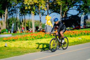 BIB: 
                            <button type="button" onclick="openModal(26168168)" class="btn btn-primary btn-sm float-right btn-popup" data-toggle="modal" data-target=".modal-high-quality">
                        <i class="fas fa-shopping-cart"></i> Add to Cart
                    </button>
                                            <button type="button" onclick="isThisMe(26168168, true)" class="btn btn-success btn-sm float-right btn-popup btn-isme hidden" data-toggle="tooltip" data-placement="bottom" title="นี่คือรูปของคุณใช่ไหม คลิกที่นี่เพื่อเอาเข้าอัลบั้ม">
                        <i class="fas fa-plus"></i> Add to album
                    </button>
                    <button type="button" onclick="isThisMe(26168168, false)" class="btn btn-warning btn-sm float-right btn-popup btn-isnotme hidden">
                        <i class="fas fa-ban"></i> Remove from album
                    </button>