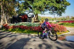 BIB: 
                            <button type="button" onclick="openModal(26168402)" class="btn btn-primary btn-sm float-right btn-popup" data-toggle="modal" data-target=".modal-high-quality">
                        <i class="fas fa-shopping-cart"></i> Add to Cart
                    </button>
                                            <button type="button" onclick="isThisMe(26168402, true)" class="btn btn-success btn-sm float-right btn-popup btn-isme hidden" data-toggle="tooltip" data-placement="bottom" title="นี่คือรูปของคุณใช่ไหม คลิกที่นี่เพื่อเอาเข้าอัลบั้ม">
                        <i class="fas fa-plus"></i> Add to album
                    </button>
                    <button type="button" onclick="isThisMe(26168402, false)" class="btn btn-warning btn-sm float-right btn-popup btn-isnotme hidden">
                        <i class="fas fa-ban"></i> Remove from album
                    </button>