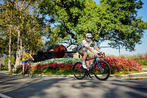 BIB: 
                            <button type="button" onclick="openModal(26168357)" class="btn btn-primary btn-sm float-right btn-popup" data-toggle="modal" data-target=".modal-high-quality">
                        <i class="fas fa-shopping-cart"></i> Add to Cart
                    </button>
                                            <button type="button" onclick="isThisMe(26168357, true)" class="btn btn-success btn-sm float-right btn-popup btn-isme hidden" data-toggle="tooltip" data-placement="bottom" title="นี่คือรูปของคุณใช่ไหม คลิกที่นี่เพื่อเอาเข้าอัลบั้ม">
                        <i class="fas fa-plus"></i> Add to album
                    </button>
                    <button type="button" onclick="isThisMe(26168357, false)" class="btn btn-warning btn-sm float-right btn-popup btn-isnotme hidden">
                        <i class="fas fa-ban"></i> Remove from album
                    </button>