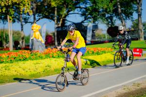 BIB: 
                            <button type="button" onclick="openModal(26167875)" class="btn btn-primary btn-sm float-right btn-popup" data-toggle="modal" data-target=".modal-high-quality">
                        <i class="fas fa-shopping-cart"></i> Add to Cart
                    </button>
                                            <button type="button" onclick="isThisMe(26167875, true)" class="btn btn-success btn-sm float-right btn-popup btn-isme hidden" data-toggle="tooltip" data-placement="bottom" title="นี่คือรูปของคุณใช่ไหม คลิกที่นี่เพื่อเอาเข้าอัลบั้ม">
                        <i class="fas fa-plus"></i> Add to album
                    </button>
                    <button type="button" onclick="isThisMe(26167875, false)" class="btn btn-warning btn-sm float-right btn-popup btn-isnotme hidden">
                        <i class="fas fa-ban"></i> Remove from album
                    </button>