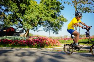 BIB: 
                            <button type="button" onclick="openModal(26168363)" class="btn btn-primary btn-sm float-right btn-popup" data-toggle="modal" data-target=".modal-high-quality">
                        <i class="fas fa-shopping-cart"></i> Add to Cart
                    </button>
                                            <button type="button" onclick="isThisMe(26168363, true)" class="btn btn-success btn-sm float-right btn-popup btn-isme hidden" data-toggle="tooltip" data-placement="bottom" title="นี่คือรูปของคุณใช่ไหม คลิกที่นี่เพื่อเอาเข้าอัลบั้ม">
                        <i class="fas fa-plus"></i> Add to album
                    </button>
                    <button type="button" onclick="isThisMe(26168363, false)" class="btn btn-warning btn-sm float-right btn-popup btn-isnotme hidden">
                        <i class="fas fa-ban"></i> Remove from album
                    </button>