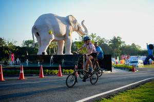 BIB: 
                            <button type="button" onclick="openModal(26163769)" class="btn btn-primary btn-sm float-right btn-popup" data-toggle="modal" data-target=".modal-high-quality">
                        <i class="fas fa-shopping-cart"></i> Add to Cart
                    </button>
                                            <button type="button" onclick="isThisMe(26163769, true)" class="btn btn-success btn-sm float-right btn-popup btn-isme hidden" data-toggle="tooltip" data-placement="bottom" title="นี่คือรูปของคุณใช่ไหม คลิกที่นี่เพื่อเอาเข้าอัลบั้ม">
                        <i class="fas fa-plus"></i> Add to album
                    </button>
                    <button type="button" onclick="isThisMe(26163769, false)" class="btn btn-warning btn-sm float-right btn-popup btn-isnotme hidden">
                        <i class="fas fa-ban"></i> Remove from album
                    </button>