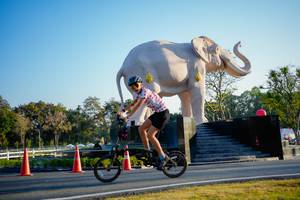 BIB: 
                            <button type="button" onclick="openModal(26163427)" class="btn btn-primary btn-sm float-right btn-popup" data-toggle="modal" data-target=".modal-high-quality">
                        <i class="fas fa-shopping-cart"></i> Add to Cart
                    </button>
                                            <button type="button" onclick="isThisMe(26163427, true)" class="btn btn-success btn-sm float-right btn-popup btn-isme hidden" data-toggle="tooltip" data-placement="bottom" title="นี่คือรูปของคุณใช่ไหม คลิกที่นี่เพื่อเอาเข้าอัลบั้ม">
                        <i class="fas fa-plus"></i> Add to album
                    </button>
                    <button type="button" onclick="isThisMe(26163427, false)" class="btn btn-warning btn-sm float-right btn-popup btn-isnotme hidden">
                        <i class="fas fa-ban"></i> Remove from album
                    </button>