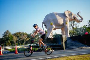 BIB: 
                            <button type="button" onclick="openModal(26163428)" class="btn btn-primary btn-sm float-right btn-popup" data-toggle="modal" data-target=".modal-high-quality">
                        <i class="fas fa-shopping-cart"></i> Add to Cart
                    </button>
                                            <button type="button" onclick="isThisMe(26163428, true)" class="btn btn-success btn-sm float-right btn-popup btn-isme hidden" data-toggle="tooltip" data-placement="bottom" title="นี่คือรูปของคุณใช่ไหม คลิกที่นี่เพื่อเอาเข้าอัลบั้ม">
                        <i class="fas fa-plus"></i> Add to album
                    </button>
                    <button type="button" onclick="isThisMe(26163428, false)" class="btn btn-warning btn-sm float-right btn-popup btn-isnotme hidden">
                        <i class="fas fa-ban"></i> Remove from album
                    </button>