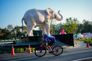 BIB: 
                            <button type="button" onclick="openModal(26163470)" class="btn btn-primary btn-sm float-right btn-popup" data-toggle="modal" data-target=".modal-high-quality">
                        <i class="fas fa-shopping-cart"></i> Add to Cart
                    </button>
                                            <button type="button" onclick="isThisMe(26163470, true)" class="btn btn-success btn-sm float-right btn-popup btn-isme hidden" data-toggle="tooltip" data-placement="bottom" title="นี่คือรูปของคุณใช่ไหม คลิกที่นี่เพื่อเอาเข้าอัลบั้ม">
                        <i class="fas fa-plus"></i> Add to album
                    </button>
                    <button type="button" onclick="isThisMe(26163470, false)" class="btn btn-warning btn-sm float-right btn-popup btn-isnotme hidden">
                        <i class="fas fa-ban"></i> Remove from album
                    </button>