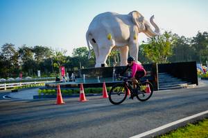 BIB: 
                            <button type="button" onclick="openModal(26163746)" class="btn btn-primary btn-sm float-right btn-popup" data-toggle="modal" data-target=".modal-high-quality">
                        <i class="fas fa-shopping-cart"></i> Add to Cart
                    </button>
                                            <button type="button" onclick="isThisMe(26163746, true)" class="btn btn-success btn-sm float-right btn-popup btn-isme hidden" data-toggle="tooltip" data-placement="bottom" title="นี่คือรูปของคุณใช่ไหม คลิกที่นี่เพื่อเอาเข้าอัลบั้ม">
                        <i class="fas fa-plus"></i> Add to album
                    </button>
                    <button type="button" onclick="isThisMe(26163746, false)" class="btn btn-warning btn-sm float-right btn-popup btn-isnotme hidden">
                        <i class="fas fa-ban"></i> Remove from album
                    </button>