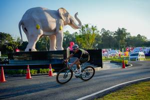 BIB: 
                            <button type="button" onclick="openModal(26163368)" class="btn btn-primary btn-sm float-right btn-popup" data-toggle="modal" data-target=".modal-high-quality">
                        <i class="fas fa-shopping-cart"></i> Add to Cart
                    </button>
                                            <button type="button" onclick="isThisMe(26163368, true)" class="btn btn-success btn-sm float-right btn-popup btn-isme hidden" data-toggle="tooltip" data-placement="bottom" title="นี่คือรูปของคุณใช่ไหม คลิกที่นี่เพื่อเอาเข้าอัลบั้ม">
                        <i class="fas fa-plus"></i> Add to album
                    </button>
                    <button type="button" onclick="isThisMe(26163368, false)" class="btn btn-warning btn-sm float-right btn-popup btn-isnotme hidden">
                        <i class="fas fa-ban"></i> Remove from album
                    </button>