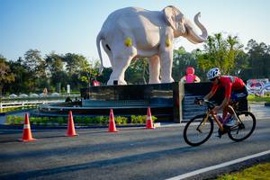 BIB: 
                            <button type="button" onclick="openModal(26163396)" class="btn btn-primary btn-sm float-right btn-popup" data-toggle="modal" data-target=".modal-high-quality">
                        <i class="fas fa-shopping-cart"></i> Add to Cart
                    </button>
                                            <button type="button" onclick="isThisMe(26163396, true)" class="btn btn-success btn-sm float-right btn-popup btn-isme hidden" data-toggle="tooltip" data-placement="bottom" title="นี่คือรูปของคุณใช่ไหม คลิกที่นี่เพื่อเอาเข้าอัลบั้ม">
                        <i class="fas fa-plus"></i> Add to album
                    </button>
                    <button type="button" onclick="isThisMe(26163396, false)" class="btn btn-warning btn-sm float-right btn-popup btn-isnotme hidden">
                        <i class="fas fa-ban"></i> Remove from album
                    </button>