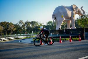 BIB: 
                            <button type="button" onclick="openModal(26163747)" class="btn btn-primary btn-sm float-right btn-popup" data-toggle="modal" data-target=".modal-high-quality">
                        <i class="fas fa-shopping-cart"></i> Add to Cart
                    </button>
                                            <button type="button" onclick="isThisMe(26163747, true)" class="btn btn-success btn-sm float-right btn-popup btn-isme hidden" data-toggle="tooltip" data-placement="bottom" title="นี่คือรูปของคุณใช่ไหม คลิกที่นี่เพื่อเอาเข้าอัลบั้ม">
                        <i class="fas fa-plus"></i> Add to album
                    </button>
                    <button type="button" onclick="isThisMe(26163747, false)" class="btn btn-warning btn-sm float-right btn-popup btn-isnotme hidden">
                        <i class="fas fa-ban"></i> Remove from album
                    </button>