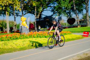 BIB: 
                            <button type="button" onclick="openModal(26167883)" class="btn btn-primary btn-sm float-right btn-popup" data-toggle="modal" data-target=".modal-high-quality">
                        <i class="fas fa-shopping-cart"></i> Add to Cart
                    </button>
                                            <button type="button" onclick="isThisMe(26167883, true)" class="btn btn-success btn-sm float-right btn-popup btn-isme hidden" data-toggle="tooltip" data-placement="bottom" title="นี่คือรูปของคุณใช่ไหม คลิกที่นี่เพื่อเอาเข้าอัลบั้ม">
                        <i class="fas fa-plus"></i> Add to album
                    </button>
                    <button type="button" onclick="isThisMe(26167883, false)" class="btn btn-warning btn-sm float-right btn-popup btn-isnotme hidden">
                        <i class="fas fa-ban"></i> Remove from album
                    </button>