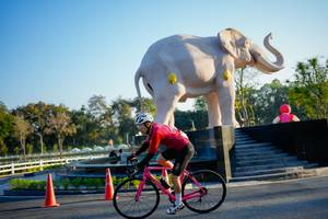 BIB: 
                            <button type="button" onclick="openModal(26163491)" class="btn btn-primary btn-sm float-right btn-popup" data-toggle="modal" data-target=".modal-high-quality">
                        <i class="fas fa-shopping-cart"></i> Add to Cart
                    </button>
                                            <button type="button" onclick="isThisMe(26163491, true)" class="btn btn-success btn-sm float-right btn-popup btn-isme hidden" data-toggle="tooltip" data-placement="bottom" title="นี่คือรูปของคุณใช่ไหม คลิกที่นี่เพื่อเอาเข้าอัลบั้ม">
                        <i class="fas fa-plus"></i> Add to album
                    </button>
                    <button type="button" onclick="isThisMe(26163491, false)" class="btn btn-warning btn-sm float-right btn-popup btn-isnotme hidden">
                        <i class="fas fa-ban"></i> Remove from album
                    </button>