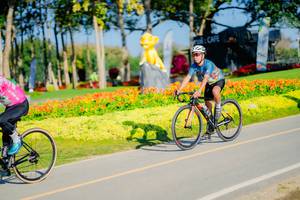 BIB: 
                            <button type="button" onclick="openModal(26167834)" class="btn btn-primary btn-sm float-right btn-popup" data-toggle="modal" data-target=".modal-high-quality">
                        <i class="fas fa-shopping-cart"></i> Add to Cart
                    </button>
                                            <button type="button" onclick="isThisMe(26167834, true)" class="btn btn-success btn-sm float-right btn-popup btn-isme hidden" data-toggle="tooltip" data-placement="bottom" title="นี่คือรูปของคุณใช่ไหม คลิกที่นี่เพื่อเอาเข้าอัลบั้ม">
                        <i class="fas fa-plus"></i> Add to album
                    </button>
                    <button type="button" onclick="isThisMe(26167834, false)" class="btn btn-warning btn-sm float-right btn-popup btn-isnotme hidden">
                        <i class="fas fa-ban"></i> Remove from album
                    </button>