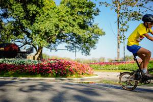 BIB: 
                            <button type="button" onclick="openModal(26168367)" class="btn btn-primary btn-sm float-right btn-popup" data-toggle="modal" data-target=".modal-high-quality">
                        <i class="fas fa-shopping-cart"></i> Add to Cart
                    </button>
                                            <button type="button" onclick="isThisMe(26168367, true)" class="btn btn-success btn-sm float-right btn-popup btn-isme hidden" data-toggle="tooltip" data-placement="bottom" title="นี่คือรูปของคุณใช่ไหม คลิกที่นี่เพื่อเอาเข้าอัลบั้ม">
                        <i class="fas fa-plus"></i> Add to album
                    </button>
                    <button type="button" onclick="isThisMe(26168367, false)" class="btn btn-warning btn-sm float-right btn-popup btn-isnotme hidden">
                        <i class="fas fa-ban"></i> Remove from album
                    </button>