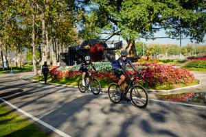 BIB: 
                            <button type="button" onclick="openModal(26168342)" class="btn btn-primary btn-sm float-right btn-popup" data-toggle="modal" data-target=".modal-high-quality">
                        <i class="fas fa-shopping-cart"></i> Add to Cart
                    </button>
                                            <button type="button" onclick="isThisMe(26168342, true)" class="btn btn-success btn-sm float-right btn-popup btn-isme hidden" data-toggle="tooltip" data-placement="bottom" title="นี่คือรูปของคุณใช่ไหม คลิกที่นี่เพื่อเอาเข้าอัลบั้ม">
                        <i class="fas fa-plus"></i> Add to album
                    </button>
                    <button type="button" onclick="isThisMe(26168342, false)" class="btn btn-warning btn-sm float-right btn-popup btn-isnotme hidden">
                        <i class="fas fa-ban"></i> Remove from album
                    </button>