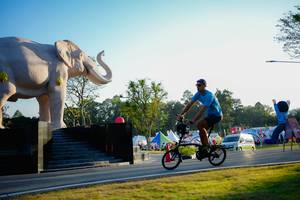 BIB: 
                            <button type="button" onclick="openModal(26163441)" class="btn btn-primary btn-sm float-right btn-popup" data-toggle="modal" data-target=".modal-high-quality">
                        <i class="fas fa-shopping-cart"></i> Add to Cart
                    </button>
                                            <button type="button" onclick="isThisMe(26163441, true)" class="btn btn-success btn-sm float-right btn-popup btn-isme hidden" data-toggle="tooltip" data-placement="bottom" title="นี่คือรูปของคุณใช่ไหม คลิกที่นี่เพื่อเอาเข้าอัลบั้ม">
                        <i class="fas fa-plus"></i> Add to album
                    </button>
                    <button type="button" onclick="isThisMe(26163441, false)" class="btn btn-warning btn-sm float-right btn-popup btn-isnotme hidden">
                        <i class="fas fa-ban"></i> Remove from album
                    </button>