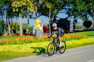 BIB: 
                            <button type="button" onclick="openModal(26168071)" class="btn btn-primary btn-sm float-right btn-popup" data-toggle="modal" data-target=".modal-high-quality">
                        <i class="fas fa-shopping-cart"></i> Add to Cart
                    </button>
                                            <button type="button" onclick="isThisMe(26168071, true)" class="btn btn-success btn-sm float-right btn-popup btn-isme hidden" data-toggle="tooltip" data-placement="bottom" title="นี่คือรูปของคุณใช่ไหม คลิกที่นี่เพื่อเอาเข้าอัลบั้ม">
                        <i class="fas fa-plus"></i> Add to album
                    </button>
                    <button type="button" onclick="isThisMe(26168071, false)" class="btn btn-warning btn-sm float-right btn-popup btn-isnotme hidden">
                        <i class="fas fa-ban"></i> Remove from album
                    </button>