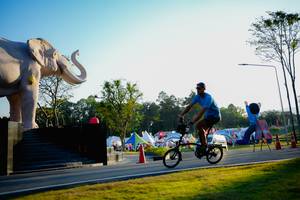 BIB: 
                            <button type="button" onclick="openModal(26163439)" class="btn btn-primary btn-sm float-right btn-popup" data-toggle="modal" data-target=".modal-high-quality">
                        <i class="fas fa-shopping-cart"></i> Add to Cart
                    </button>
                                            <button type="button" onclick="isThisMe(26163439, true)" class="btn btn-success btn-sm float-right btn-popup btn-isme hidden" data-toggle="tooltip" data-placement="bottom" title="นี่คือรูปของคุณใช่ไหม คลิกที่นี่เพื่อเอาเข้าอัลบั้ม">
                        <i class="fas fa-plus"></i> Add to album
                    </button>
                    <button type="button" onclick="isThisMe(26163439, false)" class="btn btn-warning btn-sm float-right btn-popup btn-isnotme hidden">
                        <i class="fas fa-ban"></i> Remove from album
                    </button>