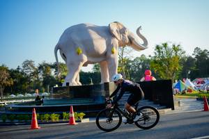 BIB: 
                            <button type="button" onclick="openModal(26163500)" class="btn btn-primary btn-sm float-right btn-popup" data-toggle="modal" data-target=".modal-high-quality">
                        <i class="fas fa-shopping-cart"></i> Add to Cart
                    </button>
                                            <button type="button" onclick="isThisMe(26163500, true)" class="btn btn-success btn-sm float-right btn-popup btn-isme hidden" data-toggle="tooltip" data-placement="bottom" title="นี่คือรูปของคุณใช่ไหม คลิกที่นี่เพื่อเอาเข้าอัลบั้ม">
                        <i class="fas fa-plus"></i> Add to album
                    </button>
                    <button type="button" onclick="isThisMe(26163500, false)" class="btn btn-warning btn-sm float-right btn-popup btn-isnotme hidden">
                        <i class="fas fa-ban"></i> Remove from album
                    </button>