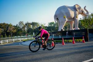 BIB: 
                            <button type="button" onclick="openModal(26163751)" class="btn btn-primary btn-sm float-right btn-popup" data-toggle="modal" data-target=".modal-high-quality">
                        <i class="fas fa-shopping-cart"></i> Add to Cart
                    </button>
                                            <button type="button" onclick="isThisMe(26163751, true)" class="btn btn-success btn-sm float-right btn-popup btn-isme hidden" data-toggle="tooltip" data-placement="bottom" title="นี่คือรูปของคุณใช่ไหม คลิกที่นี่เพื่อเอาเข้าอัลบั้ม">
                        <i class="fas fa-plus"></i> Add to album
                    </button>
                    <button type="button" onclick="isThisMe(26163751, false)" class="btn btn-warning btn-sm float-right btn-popup btn-isnotme hidden">
                        <i class="fas fa-ban"></i> Remove from album
                    </button>