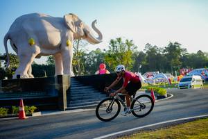 BIB: 
                            <button type="button" onclick="openModal(26163464)" class="btn btn-primary btn-sm float-right btn-popup" data-toggle="modal" data-target=".modal-high-quality">
                        <i class="fas fa-shopping-cart"></i> Add to Cart
                    </button>
                                            <button type="button" onclick="isThisMe(26163464, true)" class="btn btn-success btn-sm float-right btn-popup btn-isme hidden" data-toggle="tooltip" data-placement="bottom" title="นี่คือรูปของคุณใช่ไหม คลิกที่นี่เพื่อเอาเข้าอัลบั้ม">
                        <i class="fas fa-plus"></i> Add to album
                    </button>
                    <button type="button" onclick="isThisMe(26163464, false)" class="btn btn-warning btn-sm float-right btn-popup btn-isnotme hidden">
                        <i class="fas fa-ban"></i> Remove from album
                    </button>