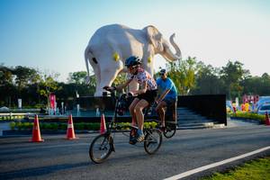 BIB: 
                            <button type="button" onclick="openModal(26163778)" class="btn btn-primary btn-sm float-right btn-popup" data-toggle="modal" data-target=".modal-high-quality">
                        <i class="fas fa-shopping-cart"></i> Add to Cart
                    </button>
                                            <button type="button" onclick="isThisMe(26163778, true)" class="btn btn-success btn-sm float-right btn-popup btn-isme hidden" data-toggle="tooltip" data-placement="bottom" title="นี่คือรูปของคุณใช่ไหม คลิกที่นี่เพื่อเอาเข้าอัลบั้ม">
                        <i class="fas fa-plus"></i> Add to album
                    </button>
                    <button type="button" onclick="isThisMe(26163778, false)" class="btn btn-warning btn-sm float-right btn-popup btn-isnotme hidden">
                        <i class="fas fa-ban"></i> Remove from album
                    </button>