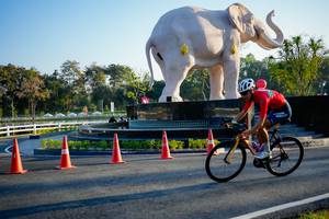 BIB: 
                            <button type="button" onclick="openModal(26163397)" class="btn btn-primary btn-sm float-right btn-popup" data-toggle="modal" data-target=".modal-high-quality">
                        <i class="fas fa-shopping-cart"></i> Add to Cart
                    </button>
                                            <button type="button" onclick="isThisMe(26163397, true)" class="btn btn-success btn-sm float-right btn-popup btn-isme hidden" data-toggle="tooltip" data-placement="bottom" title="นี่คือรูปของคุณใช่ไหม คลิกที่นี่เพื่อเอาเข้าอัลบั้ม">
                        <i class="fas fa-plus"></i> Add to album
                    </button>
                    <button type="button" onclick="isThisMe(26163397, false)" class="btn btn-warning btn-sm float-right btn-popup btn-isnotme hidden">
                        <i class="fas fa-ban"></i> Remove from album
                    </button>