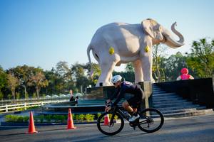 BIB: 
                            <button type="button" onclick="openModal(26163498)" class="btn btn-primary btn-sm float-right btn-popup" data-toggle="modal" data-target=".modal-high-quality">
                        <i class="fas fa-shopping-cart"></i> Add to Cart
                    </button>
                                            <button type="button" onclick="isThisMe(26163498, true)" class="btn btn-success btn-sm float-right btn-popup btn-isme hidden" data-toggle="tooltip" data-placement="bottom" title="นี่คือรูปของคุณใช่ไหม คลิกที่นี่เพื่อเอาเข้าอัลบั้ม">
                        <i class="fas fa-plus"></i> Add to album
                    </button>
                    <button type="button" onclick="isThisMe(26163498, false)" class="btn btn-warning btn-sm float-right btn-popup btn-isnotme hidden">
                        <i class="fas fa-ban"></i> Remove from album
                    </button>