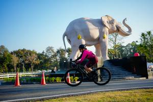 BIB: 
                            <button type="button" onclick="openModal(26163438)" class="btn btn-primary btn-sm float-right btn-popup" data-toggle="modal" data-target=".modal-high-quality">
                        <i class="fas fa-shopping-cart"></i> Add to Cart
                    </button>
                                            <button type="button" onclick="isThisMe(26163438, true)" class="btn btn-success btn-sm float-right btn-popup btn-isme hidden" data-toggle="tooltip" data-placement="bottom" title="นี่คือรูปของคุณใช่ไหม คลิกที่นี่เพื่อเอาเข้าอัลบั้ม">
                        <i class="fas fa-plus"></i> Add to album
                    </button>
                    <button type="button" onclick="isThisMe(26163438, false)" class="btn btn-warning btn-sm float-right btn-popup btn-isnotme hidden">
                        <i class="fas fa-ban"></i> Remove from album
                    </button>