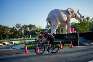 BIB: 
                            <button type="button" onclick="openModal(26163362)" class="btn btn-primary btn-sm float-right btn-popup" data-toggle="modal" data-target=".modal-high-quality">
                        <i class="fas fa-shopping-cart"></i> Add to Cart
                    </button>
                                            <button type="button" onclick="isThisMe(26163362, true)" class="btn btn-success btn-sm float-right btn-popup btn-isme hidden" data-toggle="tooltip" data-placement="bottom" title="นี่คือรูปของคุณใช่ไหม คลิกที่นี่เพื่อเอาเข้าอัลบั้ม">
                        <i class="fas fa-plus"></i> Add to album
                    </button>
                    <button type="button" onclick="isThisMe(26163362, false)" class="btn btn-warning btn-sm float-right btn-popup btn-isnotme hidden">
                        <i class="fas fa-ban"></i> Remove from album
                    </button>