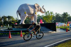 BIB: 
                            <button type="button" onclick="openModal(26163371)" class="btn btn-primary btn-sm float-right btn-popup" data-toggle="modal" data-target=".modal-high-quality">
                        <i class="fas fa-shopping-cart"></i> Add to Cart
                    </button>
                                            <button type="button" onclick="isThisMe(26163371, true)" class="btn btn-success btn-sm float-right btn-popup btn-isme hidden" data-toggle="tooltip" data-placement="bottom" title="นี่คือรูปของคุณใช่ไหม คลิกที่นี่เพื่อเอาเข้าอัลบั้ม">
                        <i class="fas fa-plus"></i> Add to album
                    </button>
                    <button type="button" onclick="isThisMe(26163371, false)" class="btn btn-warning btn-sm float-right btn-popup btn-isnotme hidden">
                        <i class="fas fa-ban"></i> Remove from album
                    </button>