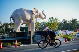 BIB: 
                            <button type="button" onclick="openModal(26163495)" class="btn btn-primary btn-sm float-right btn-popup" data-toggle="modal" data-target=".modal-high-quality">
                        <i class="fas fa-shopping-cart"></i> Add to Cart
                    </button>
                                            <button type="button" onclick="isThisMe(26163495, true)" class="btn btn-success btn-sm float-right btn-popup btn-isme hidden" data-toggle="tooltip" data-placement="bottom" title="นี่คือรูปของคุณใช่ไหม คลิกที่นี่เพื่อเอาเข้าอัลบั้ม">
                        <i class="fas fa-plus"></i> Add to album
                    </button>
                    <button type="button" onclick="isThisMe(26163495, false)" class="btn btn-warning btn-sm float-right btn-popup btn-isnotme hidden">
                        <i class="fas fa-ban"></i> Remove from album
                    </button>