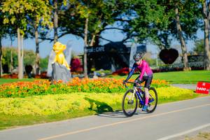 BIB: 
                            <button type="button" onclick="openModal(26168044)" class="btn btn-primary btn-sm float-right btn-popup" data-toggle="modal" data-target=".modal-high-quality">
                        <i class="fas fa-shopping-cart"></i> Add to Cart
                    </button>
                                            <button type="button" onclick="isThisMe(26168044, true)" class="btn btn-success btn-sm float-right btn-popup btn-isme hidden" data-toggle="tooltip" data-placement="bottom" title="นี่คือรูปของคุณใช่ไหม คลิกที่นี่เพื่อเอาเข้าอัลบั้ม">
                        <i class="fas fa-plus"></i> Add to album
                    </button>
                    <button type="button" onclick="isThisMe(26168044, false)" class="btn btn-warning btn-sm float-right btn-popup btn-isnotme hidden">
                        <i class="fas fa-ban"></i> Remove from album
                    </button>