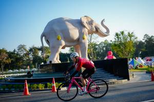 BIB: 
                            <button type="button" onclick="openModal(26163492)" class="btn btn-primary btn-sm float-right btn-popup" data-toggle="modal" data-target=".modal-high-quality">
                        <i class="fas fa-shopping-cart"></i> Add to Cart
                    </button>
                                            <button type="button" onclick="isThisMe(26163492, true)" class="btn btn-success btn-sm float-right btn-popup btn-isme hidden" data-toggle="tooltip" data-placement="bottom" title="นี่คือรูปของคุณใช่ไหม คลิกที่นี่เพื่อเอาเข้าอัลบั้ม">
                        <i class="fas fa-plus"></i> Add to album
                    </button>
                    <button type="button" onclick="isThisMe(26163492, false)" class="btn btn-warning btn-sm float-right btn-popup btn-isnotme hidden">
                        <i class="fas fa-ban"></i> Remove from album
                    </button>