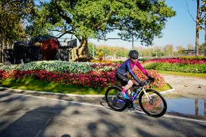 BIB: 
                            <button type="button" onclick="openModal(26168404)" class="btn btn-primary btn-sm float-right btn-popup" data-toggle="modal" data-target=".modal-high-quality">
                        <i class="fas fa-shopping-cart"></i> Add to Cart
                    </button>
                                            <button type="button" onclick="isThisMe(26168404, true)" class="btn btn-success btn-sm float-right btn-popup btn-isme hidden" data-toggle="tooltip" data-placement="bottom" title="นี่คือรูปของคุณใช่ไหม คลิกที่นี่เพื่อเอาเข้าอัลบั้ม">
                        <i class="fas fa-plus"></i> Add to album
                    </button>
                    <button type="button" onclick="isThisMe(26168404, false)" class="btn btn-warning btn-sm float-right btn-popup btn-isnotme hidden">
                        <i class="fas fa-ban"></i> Remove from album
                    </button>