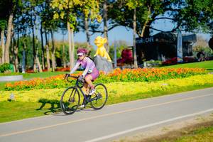 BIB: 
                            <button type="button" onclick="openModal(26167746)" class="btn btn-primary btn-sm float-right btn-popup" data-toggle="modal" data-target=".modal-high-quality">
                        <i class="fas fa-shopping-cart"></i> Add to Cart
                    </button>
                                            <button type="button" onclick="isThisMe(26167746, true)" class="btn btn-success btn-sm float-right btn-popup btn-isme hidden" data-toggle="tooltip" data-placement="bottom" title="นี่คือรูปของคุณใช่ไหม คลิกที่นี่เพื่อเอาเข้าอัลบั้ม">
                        <i class="fas fa-plus"></i> Add to album
                    </button>
                    <button type="button" onclick="isThisMe(26167746, false)" class="btn btn-warning btn-sm float-right btn-popup btn-isnotme hidden">
                        <i class="fas fa-ban"></i> Remove from album
                    </button>