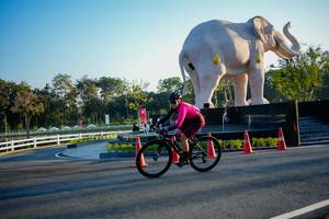 BIB: 
                            <button type="button" onclick="openModal(26163749)" class="btn btn-primary btn-sm float-right btn-popup" data-toggle="modal" data-target=".modal-high-quality">
                        <i class="fas fa-shopping-cart"></i> Add to Cart
                    </button>
                                            <button type="button" onclick="isThisMe(26163749, true)" class="btn btn-success btn-sm float-right btn-popup btn-isme hidden" data-toggle="tooltip" data-placement="bottom" title="นี่คือรูปของคุณใช่ไหม คลิกที่นี่เพื่อเอาเข้าอัลบั้ม">
                        <i class="fas fa-plus"></i> Add to album
                    </button>
                    <button type="button" onclick="isThisMe(26163749, false)" class="btn btn-warning btn-sm float-right btn-popup btn-isnotme hidden">
                        <i class="fas fa-ban"></i> Remove from album
                    </button>