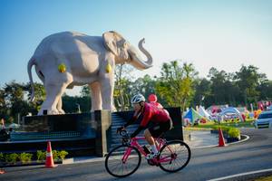 BIB: 
                            <button type="button" onclick="openModal(26163487)" class="btn btn-primary btn-sm float-right btn-popup" data-toggle="modal" data-target=".modal-high-quality">
                        <i class="fas fa-shopping-cart"></i> Add to Cart
                    </button>
                                            <button type="button" onclick="isThisMe(26163487, true)" class="btn btn-success btn-sm float-right btn-popup btn-isme hidden" data-toggle="tooltip" data-placement="bottom" title="นี่คือรูปของคุณใช่ไหม คลิกที่นี่เพื่อเอาเข้าอัลบั้ม">
                        <i class="fas fa-plus"></i> Add to album
                    </button>
                    <button type="button" onclick="isThisMe(26163487, false)" class="btn btn-warning btn-sm float-right btn-popup btn-isnotme hidden">
                        <i class="fas fa-ban"></i> Remove from album
                    </button>