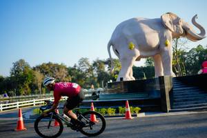 BIB: 
                            <button type="button" onclick="openModal(26163482)" class="btn btn-primary btn-sm float-right btn-popup" data-toggle="modal" data-target=".modal-high-quality">
                        <i class="fas fa-shopping-cart"></i> Add to Cart
                    </button>
                                            <button type="button" onclick="isThisMe(26163482, true)" class="btn btn-success btn-sm float-right btn-popup btn-isme hidden" data-toggle="tooltip" data-placement="bottom" title="นี่คือรูปของคุณใช่ไหม คลิกที่นี่เพื่อเอาเข้าอัลบั้ม">
                        <i class="fas fa-plus"></i> Add to album
                    </button>
                    <button type="button" onclick="isThisMe(26163482, false)" class="btn btn-warning btn-sm float-right btn-popup btn-isnotme hidden">
                        <i class="fas fa-ban"></i> Remove from album
                    </button>