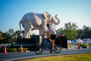 BIB: 
                            <button type="button" onclick="openModal(26163420)" class="btn btn-primary btn-sm float-right btn-popup" data-toggle="modal" data-target=".modal-high-quality">
                        <i class="fas fa-shopping-cart"></i> Add to Cart
                    </button>
                                            <button type="button" onclick="isThisMe(26163420, true)" class="btn btn-success btn-sm float-right btn-popup btn-isme hidden" data-toggle="tooltip" data-placement="bottom" title="นี่คือรูปของคุณใช่ไหม คลิกที่นี่เพื่อเอาเข้าอัลบั้ม">
                        <i class="fas fa-plus"></i> Add to album
                    </button>
                    <button type="button" onclick="isThisMe(26163420, false)" class="btn btn-warning btn-sm float-right btn-popup btn-isnotme hidden">
                        <i class="fas fa-ban"></i> Remove from album
                    </button>